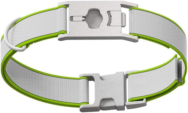 GO Explore & Twist Pet Collars - See Me Green, Medium-Large