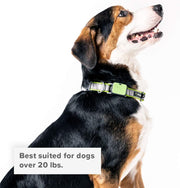GO Explore & Twist Pet Collars - See Me Green, Medium-Large
