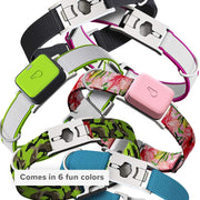 GO Explore & Twist Pet Collars - See Me Green, Medium-Large