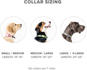 GO Explore & Twist Pet Collars - See Me Green, Medium-Large