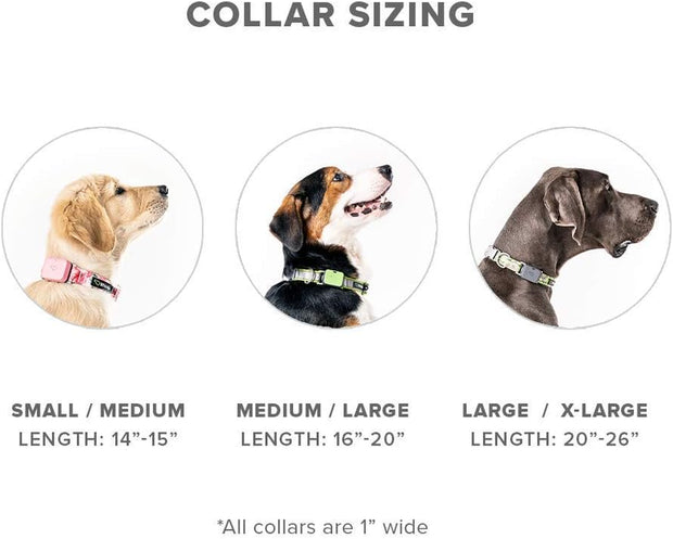 GO Explore & Twist Pet Collars - See Me Green, Medium-Large